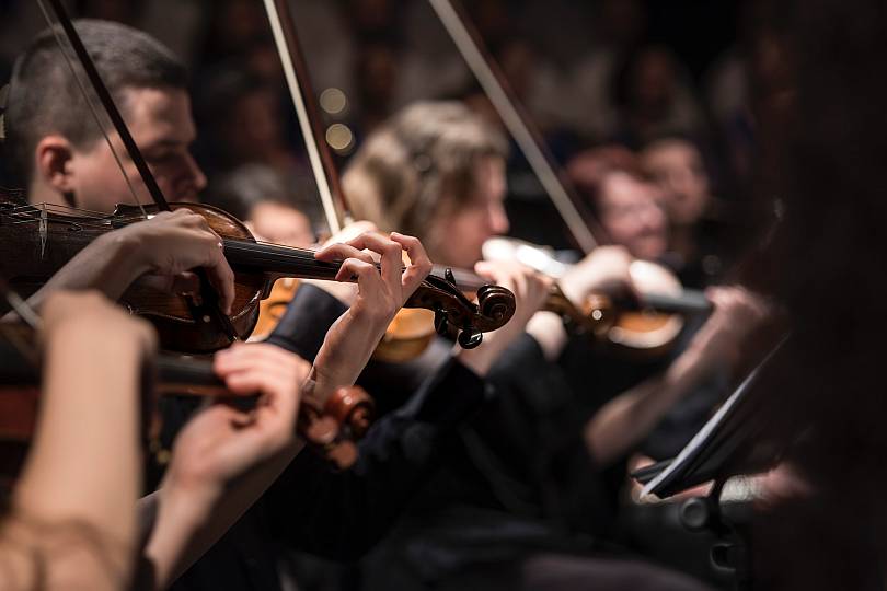 Photo of violinists in an orchestra
